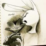 post #2147206