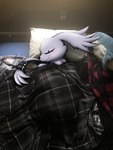 Rating: s
ID: 3507921
Date: 2022-08-15 10:18:11 -0400
Status: active
Score: 52
3:4 absurd_res accessory allbadbadgers anthro bandai_namco bed_covers bedding belt blahaj conditional_dnp digimon digimon_(species) eyes_closed female feral fluffy fluffy_tail furgonomics gazimon hi_res high-angle_view ikea lying male neck_tuft on_side photo_background photography_(artwork) pillow resting sleeping solo tail tail_accessory tail_belt transformation tuft post #3507921