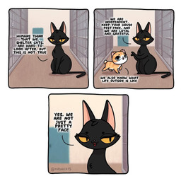 Rating: s
ID: 5674500
Date: 2025-06-29 00:34:03 -0400
Status: pending
Score: 1
animal_shelter bru_(kashicats) comic dialogue digital_media_(artwork) domestic_cat duo english_text felid feline felis female feral kashicats mammal mido_(kashicats) open_mouth smile tail talking_to_viewer text young young_female young_feral post #5674500