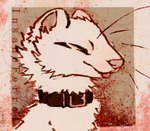 Rating: s
ID: 4620240
Date: 2024-02-24 18:58:42 -0500
Status: active
Score: 30
abstract_background black_collar black_markings collar collar_only digital_media_(artwork) domestic_ferret eyes_closed feral fur insaneferret mammal markings mustelid musteline nonbinary_(lore) nude nue_(insaneferret) pink_nose round_ears shapeshifter solo tongue tongue_out true_musteline weasel whiskers white_body white_fur post #4620240