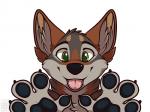 Rating: s
ID: 1125292
Date: 2017-02-01 20:35:54 -0500
Status: active
Score: 18
2015 4:3 anthro canid canine canis coyote fluffy mammal muzz ochropus paws solo tongue post #1125292