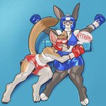 Rating: s
ID: 5159811
Date: 2024-11-04 01:41:34 -0500
Status: active
Score: 5
1:1 4_toes absurd_res arm_tuft ashley_(blitzeye) belly belly_squish blonde_hair blowing_on_stomach blowing_raspberries bottomwear boxing_gloves bra brown_eyes brown_nose brown_tail_tip canid canine claws clothing dcheese dipstick_tail duo elbow_tuft exclamation_point eyebrows feet female female/female fennec_fox fox fur grey_body grey_fur hair half-closed_eyes handwear headgear hi_res inner_ear_fluff lagomorph leporid long_ears lying mammal markings midriff multicolored_body multicolored_fur narrowed_eyes navel on_back pink_nose protective_gear puffed_cheeks rabbit raspberry_kiss riley_(blitzeye) shorts sound_effects sport sports_bra squish tail tail_markings tan_body tan_eyebrows tan_fur tan_tail tickling tickling_belly tickling_navel toe_claws toes true_fox tuft two_tone_body two_tone_fur underwear white_eyebrows white_hair zerbert post #5159811