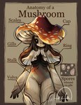 Rating: s
ID: 5589928
Date: 2025-05-22 02:05:57 -0400
Status: active
Score: 20
anatomy anatomy_chart biological_illustration capelet chart elemental_creature elemental_humanoid english_text feefal female fungi_fauna fungi_humanoid fungus hair hi_res humanoid mushroom mushroom_cap mushroom_humanoid nude solo technical_illustration text post #5589928
