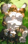 Rating: s
ID: 5616178
Date: 2025-06-02 09:49:39 -0400
Status: active
Score: 27
2025 4_toes 5_fingers anthro belly big_pecs black_nose blue_eyes bottomwear branch brown_bottomwear brown_clothing brown_pants canid canine canis claws clothing countershade_face countershade_torso countershading depth_of_field digital_media_(artwork) eyebrows feet fingers fluffy fluffy_tail fur grass grey_body grey_fur grey_hair hair hand_on_belly lying lying_on_grass lying_on_ground male mammal musclegut muscular navel neck_tuft noviraine on_back on_ground pants paws pecs plant signature smile solo tail toes toki_(noviraine) tongue tongue_out tuft upside_down wolf post #5616178