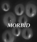 Rating: s
ID: 4405392
Date: 2023-11-10 02:52:38 -0500
Status: active
Score: 21
2023 black_and_white black_background bold_text comic cover cover_art cover_page digital_drawing_(artwork) digital_media_(artwork) duo english_text greyscale hi_res koffeecake looking_at_viewer monochrome not_furry pupils shaded simple_background slit_pupils stare text zero_pictured post #4405392