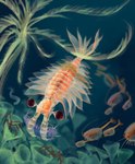 Rating: s
ID: 2880858
Date: 2021-08-15 15:43:28 -0400
Status: active
Score: 119
2020 absurd_res ambiguous_gender anomalocarid anomalocaris arthropod bedupolker big_eyes black_eyes brown_body caught_in_the_act crinoid detailed_background duo_focus echinoderm feral fin full-length_portrait group hi_res holding_character larger_feral marine orange_body portrait predator/prey prehistoric_species purple_body realistic realistic_feral sea_spider size_difference smaller_feral swimming tail tail_fin three-quarter_view translucent translucent_body trilobite underwater waptia water post #2880858
