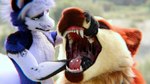 Rating: s
ID: 5651181
Date: 2025-06-18 14:04:04 -0400
Status: active
Score: 27
16:9 3d_(artwork) 4k absurd_res bodily_fluids canid canine canis deer digital_media_(artwork) dragon drooling dunes hi_res mammal maned_wolf maple_(disambiguation) mouth_shot mythological_creature mythological_scalie mythology open_mouth saliva scalie shinyumbra teeth throat tongue uvula vore widescreen wolf post #5651181