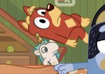 Rating: s
ID: 4862033
Date: 2024-06-18 12:32:37 -0400
Status: active
Score: 67
animate_inanimate anthro australian_cattle_dog australian_kelpie ball bandit_heeler black_body black_fur blue_body blue_fur bluey_(series) canid canine canis cartoon_physics cattledog chilli_heeler dm29 domestic_dog equid equine facial_markings female fur gloves_(marking) group head_markings herding_dog horn leg_markings male mammal markings mask_(marking) mythological_creature mythological_equine mythology orange_body orange_fur partially_offscreen_character pastoral_dog puppet red_body red_fur rusty_(bluey) scratching_butt sheepdog shelf socks_(marking) surprised_expression tan_body tan_fur tennis_ball trio unicorn unicorse wide_eyed young post #4862033
