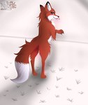 Rating: s
ID: 5400391
Date: 2025-02-27 02:50:22 -0500
Status: active
Score: 18
astralia_(art) black_eyes canid canine disney female feral fox fur hi_res mammal orange_body orange_fur simple_background solo the_fox_and_the_hound tongue tongue_out vixey_(tfath) white_background white_body white_fur post #5400391