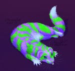 Rating: s
ID: 5088865
Date: 2024-10-02 11:28:01 -0400
Status: active
Score: 8
alternate_color ambiguous_gender barely_visible_pawpads blacklight blep calico_pattern claws cloudweaver_(artist) digital_media_(artwork) digital_painting_(artwork) dipstick_tail domestic_ferret english_text european_polecat feet female_(lore) feral fluffy fluffy_tail full-length_portrait fur genetically_modified glowing glowing_body glowing_fur green_fluorescent_protein hi_res horizontal_pupils hybrid looking_up lying mammal markings mustelid musteline on_side painting_(artwork) pawpads paws portrait pupils signature simple_background solo sparklefur sunny_silver symbol tail tail_markings text third-party_edit tongue tongue_out true_musteline weasel whiskers white_whiskers post #5088865