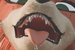 Rating: s
ID: 5555433
Date: 2025-05-07 14:25:04 -0400
Status: active
Score: 7
3:2 3d_(artwork) aircraft airplane anthro blender_cycles bodily_fluids canid canine comic digital_media_(artwork) electricbug43 fangs female fox hi_res macro mammal patricia_mac_sionnach saliva solo teeth vehicle vore post #5555433