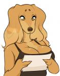Rating: s
ID: 1285437
Date: 2017-07-24 21:37:36 -0400
Status: active
Score: 162
anthro big_breasts breasts brown_body brown_eyes brown_fur brown_nose canid canine canis cherrikissu cleavage clothed clothing domestic_dog female fur hunting_dog mabel_(cherrikissu) mammal mature_female saluki sighthound simple_background solo white_background post #1285437