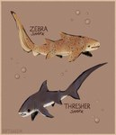 Rating: s
ID: 4855782
Date: 2024-06-15 20:26:16 -0400
Status: active
Score: 17
2020 ambiguous_gender border brown_background brown_border bubble carpet_shark countershade_torso countershading dot_eyes duo english_text feral fin fish gills grey_body hi_res mackerel_shark marine markings restricted_palette riftskeen shark simple_background simple_eyes species_name spots spotted_body tail tan_body tan_theme text thresher_shark zebra_shark post #4855782