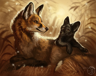2017 4_toes ambiguous_gender black_fur black_nose brown_eyes canine duo flashw fox fur lying mammal orange_fur toes
Rating: Safe
Score: 8
User: Millcore
Date: June 22, 2017 2017 4_toes ambiguous_gender black_fur black_nose brown_eyes canine duo flashw fox fur lying mammal orange_fur toes
Rating: Safe
Score: 8
User: Millcore
Date: June 22, 2017