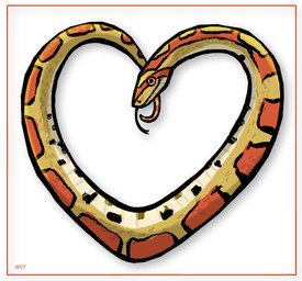 Rating: s
ID: 5324664
Date: 2025-01-22 21:19:39 -0500
Status: active
Score: 8
2007 ambiguous_feral ambiguous_gender black_tongue border closed_smile colored colubrid corn_snake digital_drawing_(artwork) digital_media_(artwork) english_description feral forked_tongue heart_symbol lampropeltini long_tongue looking_at_viewer low_res lyosha markings mouth_closed multicolored_body multicolored_scales orange_eyes orange_markings rat_snake reptile scale_markings scales scalie shaded signature simple_background smile smiling_at_viewer snake solo tongue tongue_out white_background white_border yellow_body yellow_scales post #5324664