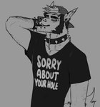 post #5341896