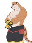 post #4654925