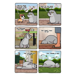 Rating: s
ID: 5688652
Date: 2025-07-05 19:57:53 -0400
Status: active
Score: 5
1:1 bodily_fluids comic dialogue digital_media_(artwork) domestic_cat duo english_text fart felid feline felis female feral kashicats male mammal mido_(kashicats) mochi_(kashicats) open_mouth smile solo sweat sweatband tail text young young_female young_feral post #5688652