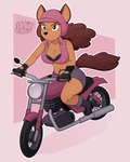 Rating: s
ID: 5662464
Date: 2025-06-23 12:03:12 -0400
Status: active
Score: 9
4:5 absurd_res ana_(b0liy0) anthro armor b0liy0 biker black_bra black_clothing black_underwear bottomwear bra brown_hair canid canine clothing curled_tail curly_hair female fingerless_gloves gloves hair handwear headgear helmet hi_res mammal motorcycle shorts solo tail torn_clothing underwear vehicle post #5662464