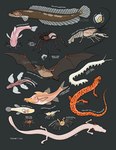 Rating: s
ID: 4598953
Date: 2024-02-14 13:31:19 -0500
Status: active
Score: 18
ambiguous_gender amphibian amphipod antennae_(anatomy) arachnid arthropod artist_name atyid_shrimp bat bone_cave_harvestman cancrocaeca_xenomorpha caridean_shrimp cave_salamander cavefish crab crayfish crustacean decapod dorsal_fin english_text external_gills eyeless feral fin fish gastropod gills gollum_snakehead hi_res humpback_golden-line_barbel kaua'i_cave_amphipod kaua'i_cave_wolf_spider kentucky_cave_shrimp malacostracan mammal marine markings membrane_(anatomy) membranous_wings mexican_blindcat mexican_free-tailed_bat mollusk olm ozark_cavefish pincers quadruped quailtea salamander scales shell shrimp simple_background snail snakehead spider spots spotted-tail_salamander spotted_body sweet_home_alabama_cave_crayfish tagging_guidelines_illustrated tail tail_fin text tumbling_creek_cave_snail velvet_worm waterfall_climbing_cavefish white_body white_cave_velvet_worm wings post #4598953