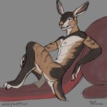 Rating: s
ID: 4690891
Date: 2024-03-31 13:05:32 -0400
Status: active
Score: 31
1:1 anthro bottomwear butt clothed clothing diablito dragon european_hare feral hare hi_res lagomorph leporid loincloth male mammal mythological_creature mythological_scalie mythology overgrowth ryf scalie tail topless wolfywetfurr_(artist) post #4690891