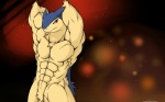 Rating: s
ID: 239082
Date: 2012-08-17 01:10:39 -0400
Status: active
Score: 55
abs anthro biceps big_muscles chest_tuft flexing fur generation_2_pokemon male mammal muscular muscular_anthro muscular_male nintendo nude pecs pinup pokemon pokemon_(species) pokemorph pose red_eyes simple_background solo tuft typhlosion waddledox post #239082