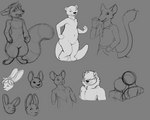 Rating: s
ID: 3789409
Date: 2023-01-03 15:00:35 -0500
Status: active
Score: -1
2022 ambiguous_gender bust_portrait citra felid feline grey_background greyscale hi_res hybrid hyena jagrabbit lagomorph leporid lion male mammal monochrome multiple_images mustelid otter pantherine portrait rabbit rax simple_background sketch sketch_page solo tail post #3789409