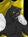 Rating: s
ID: 5330462
Date: 2025-01-25 19:01:57 -0500
Status: active
Score: 0
3:4 abs anthro black_background black_body black_fur chair ears_back eyebrows felid fur fur_shawl furniture glowing glowing_eyes gold_throne half-length_portrait hi_res khar male mammal muscular pantherine pecs pink_nose pivoted_ears portrait pronounced_browridge rim_light shaded simple_background skirrel small_head solo thick_neck throne yellow_eyes post #5330462