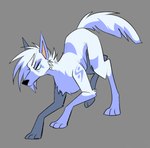 Rating: s
ID: 5660772
Date: 2025-06-22 15:57:45 -0400
Status: active
Score: 0
2021 beastofeuthanasia bent_legs black_nose blue_body blue_eyes blue_fur blue_hair blue_markings blue_tail canid canine canis cheek_tuft digital_drawing_(artwork) digital_media_(artwork) domestic_dog english_description facial_tuft female female_feral feral feralized finnish_spitz fluffy fluffy_tail fur fur_markings furrowed_brow furrowed_eyebrows grey_background hair mammal markings miyma_mirja_pohjola mouth_closed multicolored_body multicolored_fur multicolored_hair paws pupils quadruped shaded short_hair simple_background simple_shading slit_pupils solo spitz tail tan_inner_ear tuft two_tone_body two_tone_fur two_tone_hair two_tone_tail white_body white_fur white_hair white_tail post #5660772