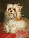 Rating: s
ID: 5552185
Date: 2025-05-06 01:29:44 -0400
Status: active
Score: 7
ambiguous_gender ancient_art bedding black_nose brown_background canid canine canis domestic_dog feral fingers fur half-length_portrait hi_res hunting_dog looking_at_viewer mammal maud_earl mouth_closed painting_(artwork) portrait shaded simple_background soft_shading solo terrier traditional_painting_(artwork) white_body white_fur yorkshire_terrier post #5552185