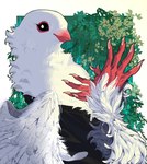 Rating: s
ID: 5408394
Date: 2025-03-02 19:22:15 -0500
Status: active
Score: 13
2024 anthro avian beak bird black_clothing black_eyes claws clothed clothing feathers finger_claws fingers hi_res lljh looking_at_viewer red_beak red_fingers red_hands solo white_body white_feathers post #5408394