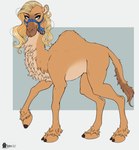 Rating: s
ID: 5611965
Date: 2025-05-31 16:27:25 -0400
Status: active
Score: 7
2025 all_fours blue_border border bridle camel camelid curly_hair eyelashes female feral fur hair half-closed_eyes head_turned hi_res hooves inner_ear_fluff jewel_(marcushunter) long_hair looking_at_viewer mammal marcushunter monochrome narrowed_eyes neck_tuft nude side_view signature solo tail tail_tuft tuft post #5611965