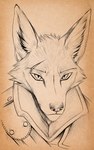 Rating: s
ID: 4752038
Date: 2024-04-30 00:00:50 -0400
Status: active
Score: 23
2024 absurd_res anthro canid canine clothed clothing english_text fox fur hi_res last_fables last_fables_(side_stories) looking_at_viewer male mammal red_fox solo text thewyvernsweaver true_fox post #4752038