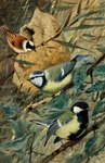 Rating: s
ID: 5284309
Date: 2025-01-03 13:01:33 -0500
Status: active
Score: 8
absurd_res ambiguous_gender ancient_art avian beak bird blue_body blue_feathers feathers feral friedrich_wilhelm_kuhnert green_body green_feathers group hi_res multicolored_body painting_(artwork) plant public_domain signature tan_body tan_feathers traditional_media_(artwork) trio white_body white_feathers wings post #5284309