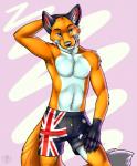 Rating: s
ID: 403005
Date: 2013-11-18 09:32:26 -0500
Status: active
Score: 93
2013 anthro armpit_hair australian_flag biped blue_eyes body_hair boxers_(clothing) canid canine claws clothed clothing digital_media_(artwork) flag flag_clothing flag_print flag_underwear fluffy fluffy_tail fox front_view fur gloves_(marking) hand_behind_head hi_res looking_at_viewer male mammal markings muscular muscular_anthro muscular_male orange_body orange_fur orithan pecs portrait print_clothing print_underwear simple_background solo standing tail three-quarter_portrait topless underwear undressing vallhound white_body white_fur post #403005