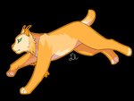 Rating: s
ID: 5596174
Date: 2025-05-24 22:20:01 -0400
Status: pending
Score: 1
4:3 alpha_channel creamsicle ear_piercing felid feline female feral fur green_eyes hi_res littlelynx lynx mammal orange_body orange_fur piercing running post #5596174