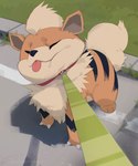 Rating: s
ID: 4808748
Date: 2024-05-26 14:14:31 -0400
Status: active
Score: 175
acting_like_a_dog ambiguous_gender black_stripes claws collar eyes_closed feral fur generation_1_pokemon green_leash growlithe leash nintendo olyester orange_body orange_ears orange_fur pokemon pokemon_(species) quadruped shadow solo striped_body stripes tail tan_body tan_fur tan_tail tongue tongue_out post #4808748