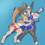 Rating: s
ID: 5159812
Date: 2024-11-04 01:41:59 -0500
Status: active
Score: 13
1:1 4_toes 5_fingers absurd_res arm_tuft ashley_(blitzeye) belly belly_squish blonde_hair blowing_on_stomach blowing_raspberries bottomwear bra brown_eyes brown_nose brown_tail_tip canid canine cheek_tuft claws clothing dcheese dipstick_tail duo elbow_tuft exclamation_point eyebrows facial_tuft feet female female/female fennec_fox fingers fox fur grey_body grey_fur hair half-closed_eyes hi_res inner_ear_fluff lagomorph leporid long_ears lying mammal markings midriff mma_gloves multicolored_body multicolored_fur narrowed_eyes navel on_back pink_nose puffed_cheeks rabbit raspberry_kiss riley_(blitzeye) shorts sound_effects sports_bra squish tail tail_markings tan_body tan_eyebrows tan_fur tan_tail tickling tickling_belly tickling_navel toe_claws toes true_fox tuft two_tone_body two_tone_fur underwear white_eyebrows white_hair zerbert post #5159812