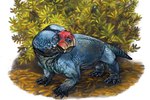 Rating: s
ID: 5128239
Date: 2024-10-20 16:16:30 -0400
Status: active
Score: 2
2016 3:2 5_toes ambiguous_gender beak blue_body blue_scales blue_skin bulbasaurus_phylloxyron c._matt._celeskey colored dicynodont eupelycosaur feet feral formal_art full-length_portrait head_turned leaf plant portrait prehistoric_species pupils quadruped realistic red_beak red_eyes scales shrub side_view signature solo synapsid therapsid toes tusks post #5128239