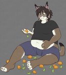 Rating: s
ID: 4213818
Date: 2023-08-04 20:24:32 -0400
Status: active
Score: 11
2013 4_toes 5_fingers anthro belly black_eyebrows black_hair bottomwear brown_claws carrot claws clothed clothing dipstick_ears dipstick_tail ear_markings eyebrows feet felid feline fingers food fur grey_background hair hanging_belly lynx male mammal markings multicolored_body multicolored_ears multicolored_fur navel overweight overweight_anthro overweight_male pink_nose plant ryunwoofie shirt shorts simple_background solo story story_in_description tach_(tach0012) tail tail_markings toes topwear vegetable watermark worried post #4213818