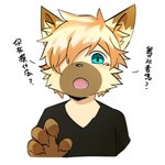 post #4946424