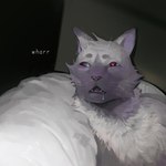 Rating: s
ID: 5077644
Date: 2024-09-27 03:00:38 -0400
Status: active
Score: 47
1:1 2024 ambiguous_anthro ambiguous_gender anthro bed bodily_fluids derp_eyes domestic_cat drooling felid feline felis feral fur furniture grey_body grey_fur inside limmy limmy_waking_up mammal meme multicolored_body multicolored_fur on_bed pillow purple_body purple_fur quadruped red_eyes saliva solo stoatallynate whiskers white_body white_fur post #5077644