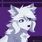 Rating: s
ID: 5236231
Date: 2024-12-11 02:35:06 -0500
Status: active
Score: 53
1:1 animated atsuoru canid canine canis canis_lupus feral fur grey_body grey_fur hi_res inner_ear_fluff male mammal multicolored_body multicolored_eyes multicolored_fur outline purple_outline shaded short_playtime simple_background sirius_hoshi_skaarsgard smile tuft white_body white_fur wolf post #5236231