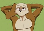 Rating: s
ID: 5543547
Date: 2025-05-02 08:09:24 -0400
Status: active
Score: -1
2024 abs anthro black_nose blush brown_body brown_eyes brown_fur canid canine canis davie_(yawg) domestic_dog fur grass half-length_portrait hands_behind_head lidded_eyes looking_at_viewer ltlagomorph lying male mammal multicolored_body multicolored_fur muscular muscular_anthro muscular_male on_back outside plant portrait smile solo post #5543547