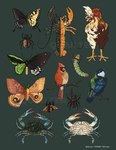 Rating: s
ID: 4598980
Date: 2024-02-14 13:50:23 -0500
Status: active
Score: 6
ambiguous_gender antennae_(anatomy) arthropod avian beak bilateral_gynandromorphism biped bird butterfly cardinal_(bird) caterpillar chicken claws crab crustacean decapod exoskeleton feral galliform gallus_(genus) genetic_chimerism hi_res insect insect_wings larva lepidopteran lepidopteran_wings lobster malacostracan marine oscine passerine phasianid pincers quailtea wings post #4598980