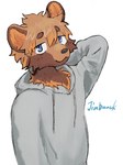 Rating: s
ID: 5655645
Date: 2025-06-20 13:06:19 -0400
Status: pending
Score: 8
3:4 ailurid anthro blue_eyes cheek_tuft clothing facial_tuft fur hair hand_behind_head hi_res hood hoodie jinbuuck kemono looking_at_viewer male mammal multicolored_body multicolored_fur red_panda signature simple_background solo topwear tuft white_background post #5655645
