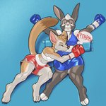 Rating: s
ID: 5159810
Date: 2024-11-04 01:40:50 -0500
Status: active
Score: 12
1:1 4_toes absurd_res anthro arm_tuft ashley_(blitzeye) belly belly_squish blonde_hair blowing_on_stomach blowing_raspberries bottomwear boxing_gloves bra brown_eyes brown_nose brown_tail_tip canid canine cheek_tuft claws clothing dcheese dipstick_tail duo elbow_tuft exclamation_point eyebrows facial_tuft feet female female/female fennec_fox fox fur grey_body grey_fur hair half-closed_eyes handwear hi_res inner_ear_fluff lagomorph leporid long_ears lying mammal markings midriff multicolored_body multicolored_fur narrowed_eyes navel on_back pink_nose puffed_cheeks rabbit raspberry_kiss riley_(blitzeye) shorts sound_effects sport sports_bra squish tail tail_markings tan_body tan_eyebrows tan_fur tan_tail tickling tickling_belly tickling_navel toe_claws toes true_fox tuft two_tone_body two_tone_fur underwear white_eyebrows white_hair zerbert post #5159810