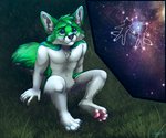 Rating: s
ID: 2305628
Date: 2020-06-24 02:12:05 -0400
Status: active
Score: 33
6:5 anthro canid canine constellation countershading depressing digital_media_(artwork) fidget_the_fox fox fur glowing glowing_background grass green_body green_eyes green_fur hair hi_res male mammal plant sad sitting sitting_on_grass sitting_on_ground sky solo star starlight_(disambiguation) starry_sky tatujapa white_body white_fur post #2305628