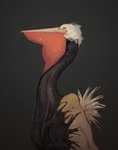 Rating: s
ID: 5573950
Date: 2025-05-15 12:22:58 -0400
Status: active
Score: 1
avian bird cu_sith_(artist) digital_media_(artwork) hi_res oil pelecaniform pelican post #5573950