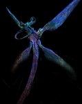 Rating: s
ID: 5201442
Date: 2024-11-23 21:02:23 -0500
Status: active
Score: 26
2024 4_wings absurd_res alien all_tomorrows ambiguous_gender black_background blue_body digital_media_(artwork) digital_painting_(artwork) eyestalks feral full-length_portrait hi_res long_tail mandibles multi_wing painting_(artwork) portrait qu_(all_tomorrows) restricted_palette schmrgl simple_background solo tail three-quarter_view wings post #5201442